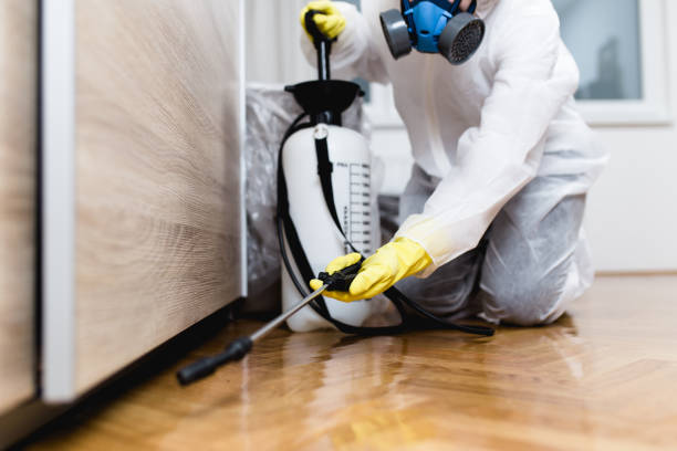 Best Flea Control Services  in Windsor Heights, IA
