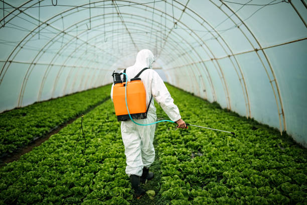 Best Residential Pest Control  in Windsor Heights, IA