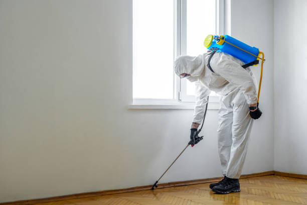 Best Wildlife Control Services  in Windsor Heights, IA
