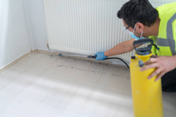 Windsor Heights, IA Pest Control Company